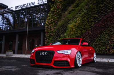 Audi pics