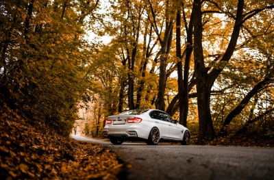 BMW japan racing rims