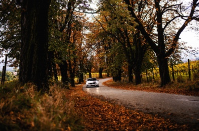 BMW 3 Series / M3