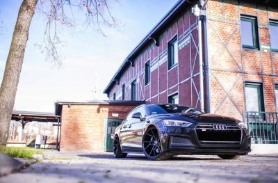 Audi pics