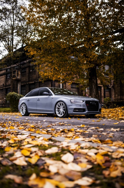 Audi japan racing rims