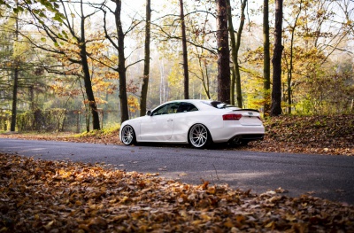 Audi japan racing wheels details