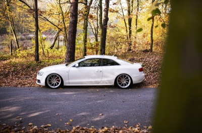 Audi japan racing rims