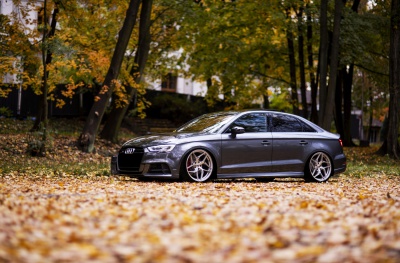 Audi A3 / S3 / RS3