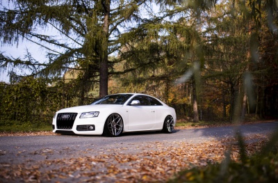 Audi pictures