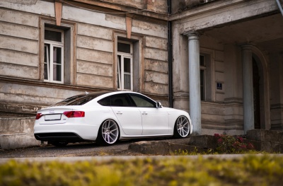 Audi japan racing rims