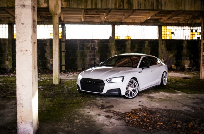 Audi pictures