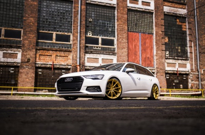 Audi Gloss Gold