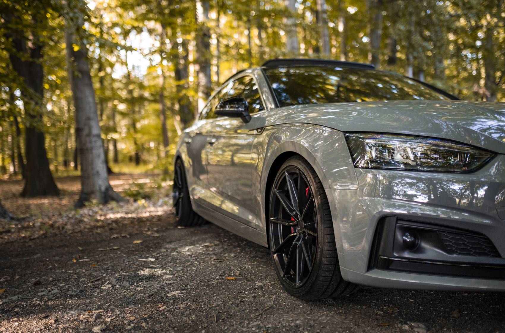 Audi gallery