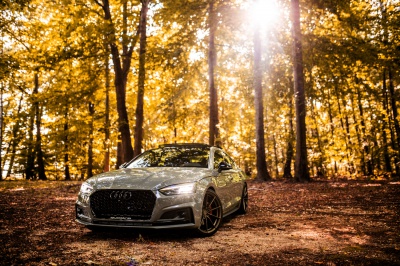 Audi pictures