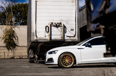 Audi Matt Gold
