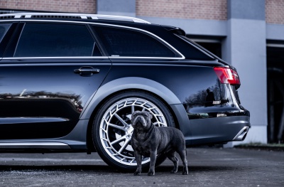 Audi A6 / S6 / RS6