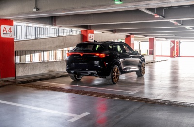 Cupra Platinum Bronze
