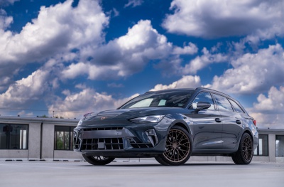 Cupra Matt Bronze