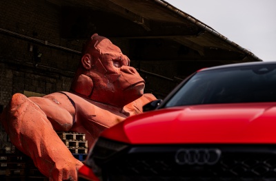 Audi A3 / S3 / RS3